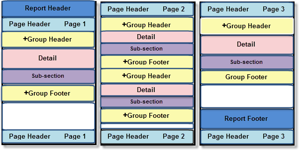 Sections of FlexReport