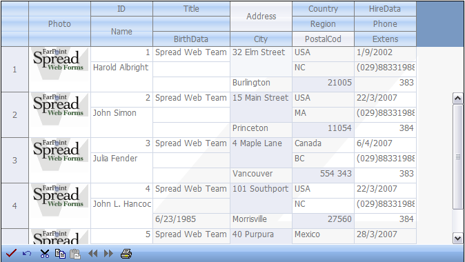 Row Template (multiple-line columns) Example