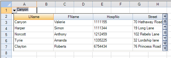 Combo Box with Columns